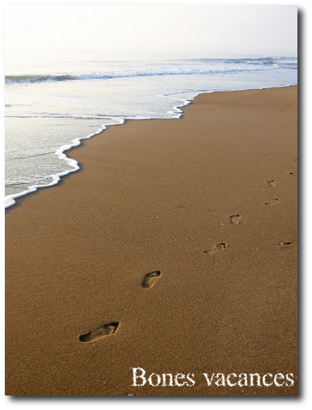 Bones vacances!