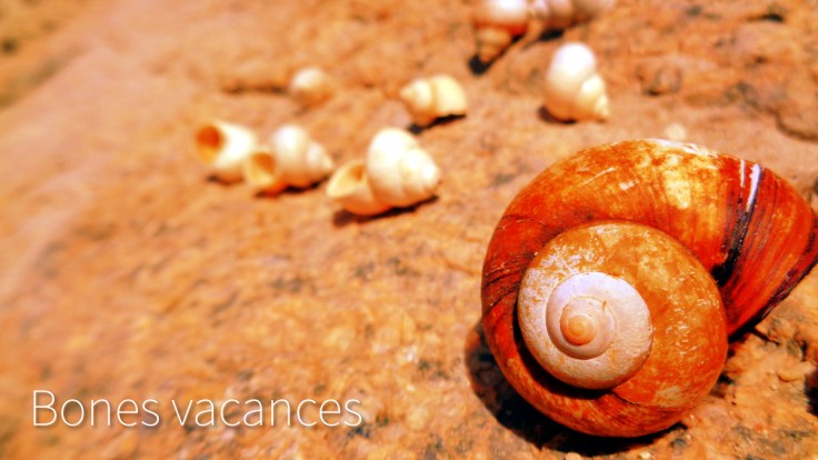 Bones vacances!