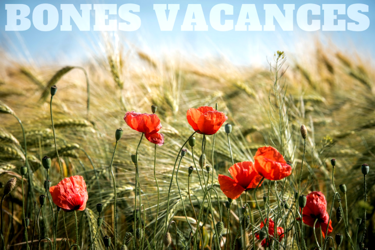 Bones vacances!