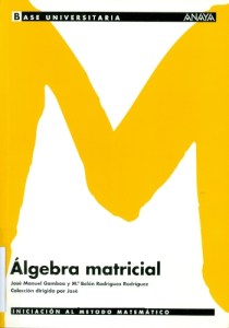 Álgebra matricial
